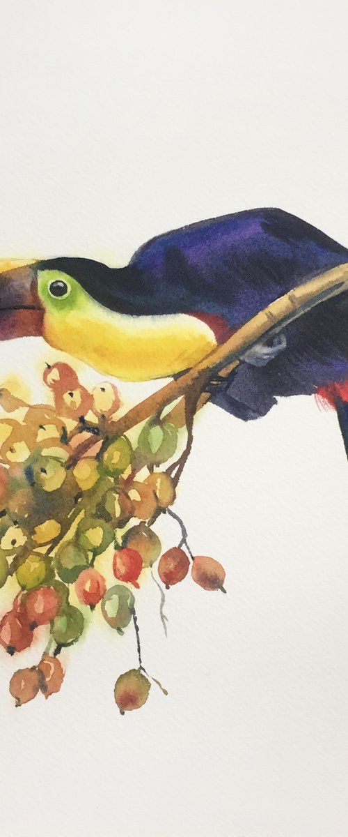 Toucan. Bright bird on tree painting. Watercolor bird. by Natalia Veyner