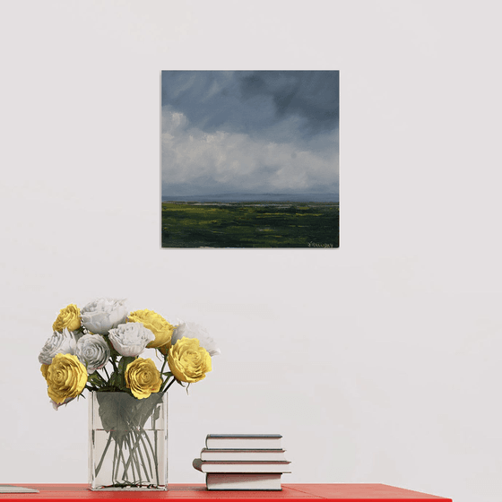 Lough Light, Irish Landscape