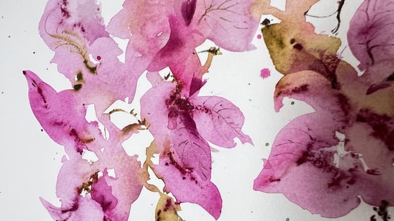 Bougainvillea Dream #2