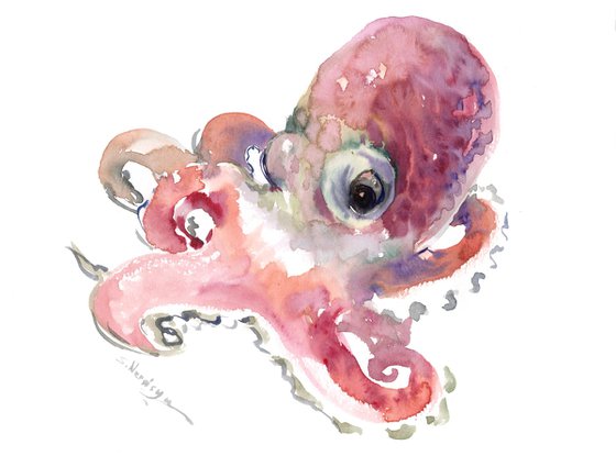 Octopus