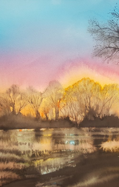 Flooded Field, Evening Light by Michele Wallington