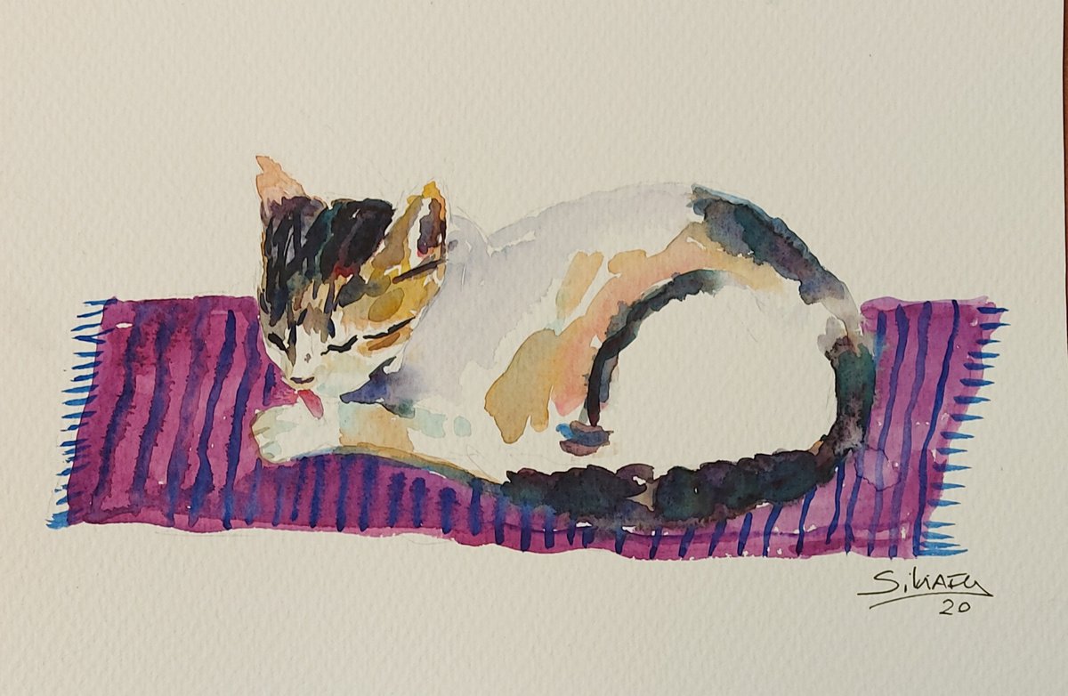 Cat asleep on a mat by Silvia Flores Vitiello