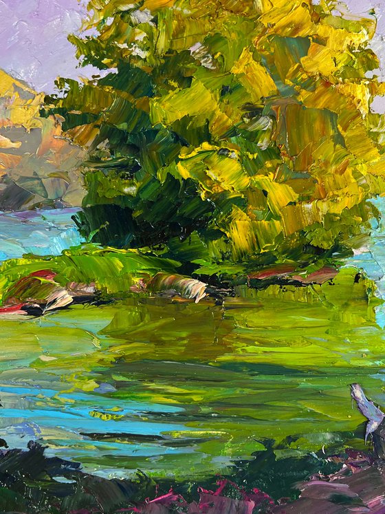 A River along the Forest