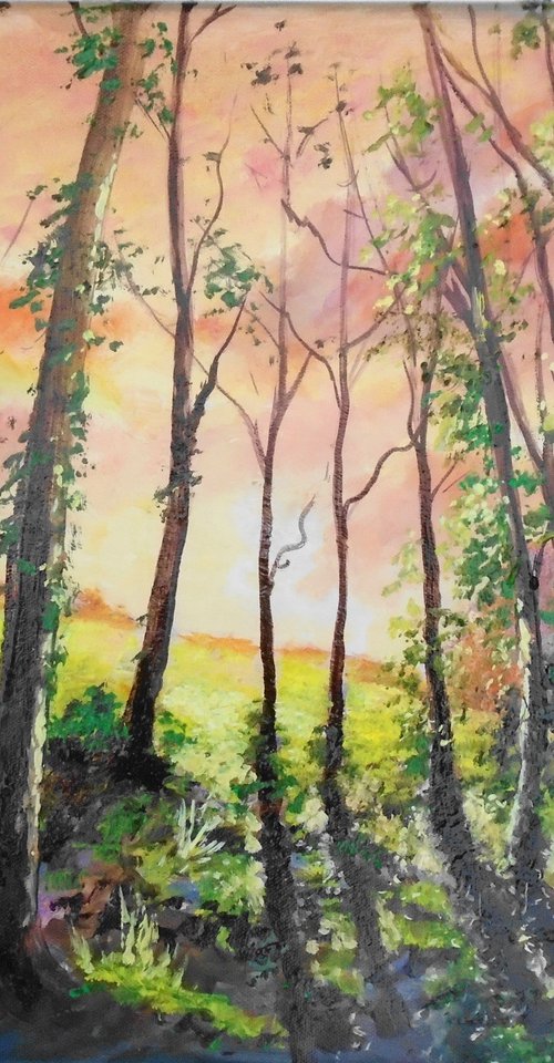 Evening Sunlight by Rod Bere