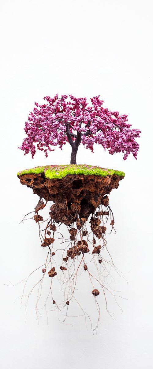 Pink Bonsai by Chiara Vignudelli