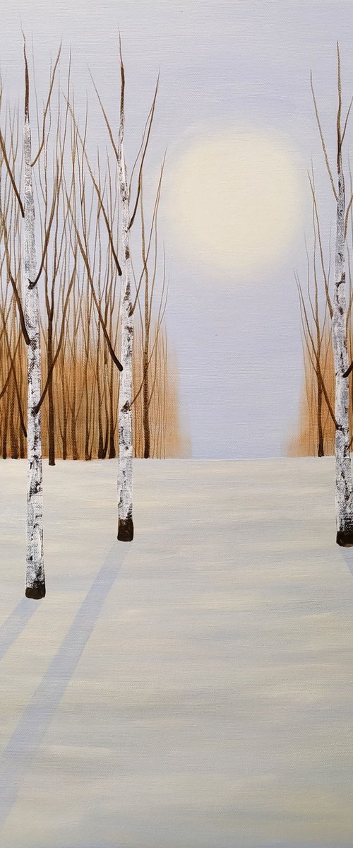 Winter Woodland Birches by Amanda Horvath