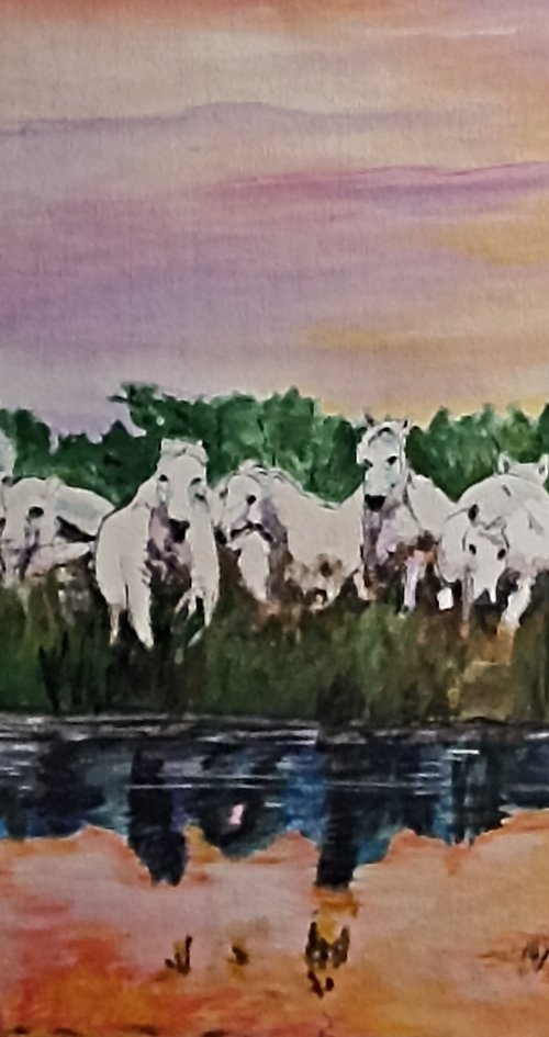 White horses and reflections by Isabelle Lucas