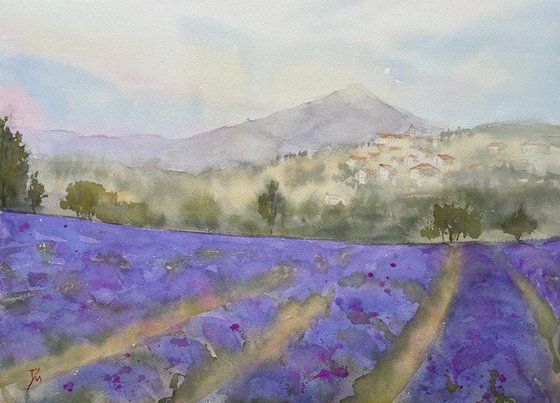 Lavender field in Provence