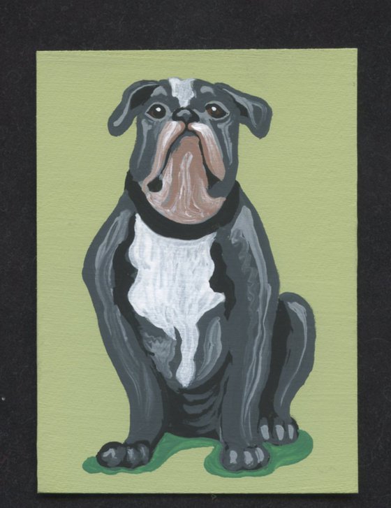 ACEO ATC Original Miniature Painting Olde English Bulldogge Pet Dog Art-Carla Smale