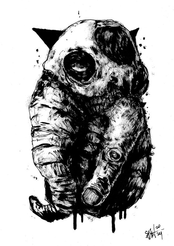 Mr. Slonomut