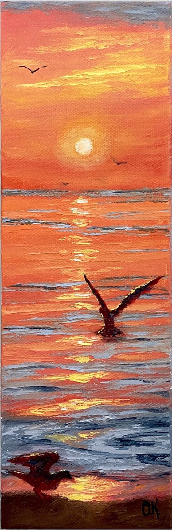 Seagulls at sunset