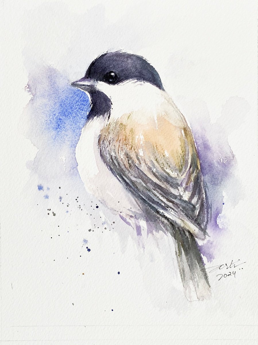 Coal Tit Tippy by Arti Chauhan