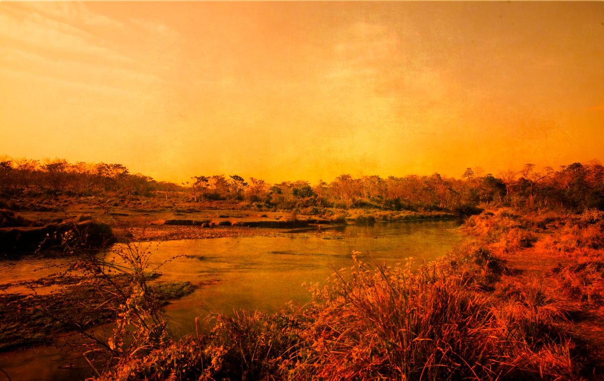 Sunset in Chitwan by Viet Ha Tran