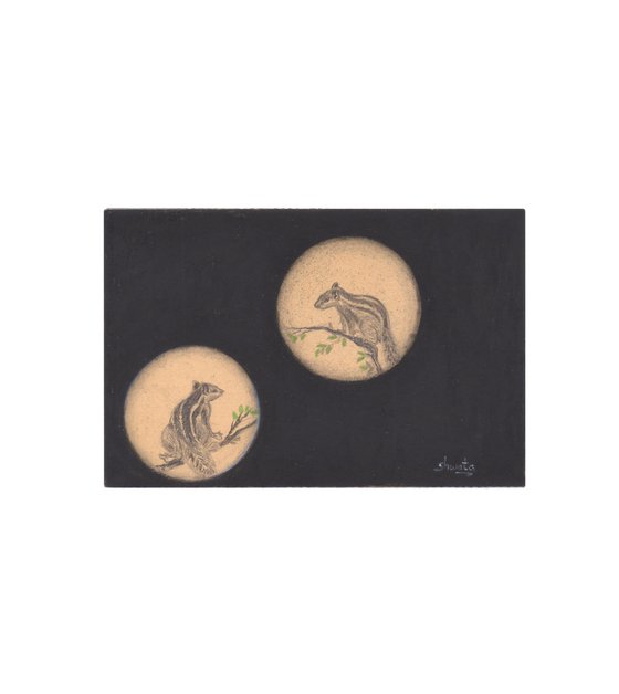 Garden squirrels