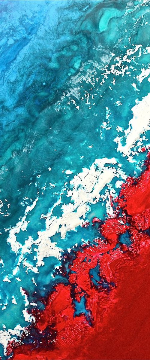 The Crimson Tide by Gray Jacobik