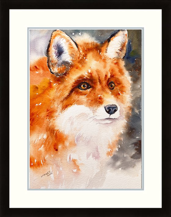 Red Fox Stella