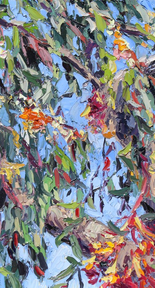 Eucalyptus Blooms by Kristen Olson Stone
