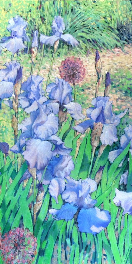 Irises dancing in the sun by Richard Mierniczak