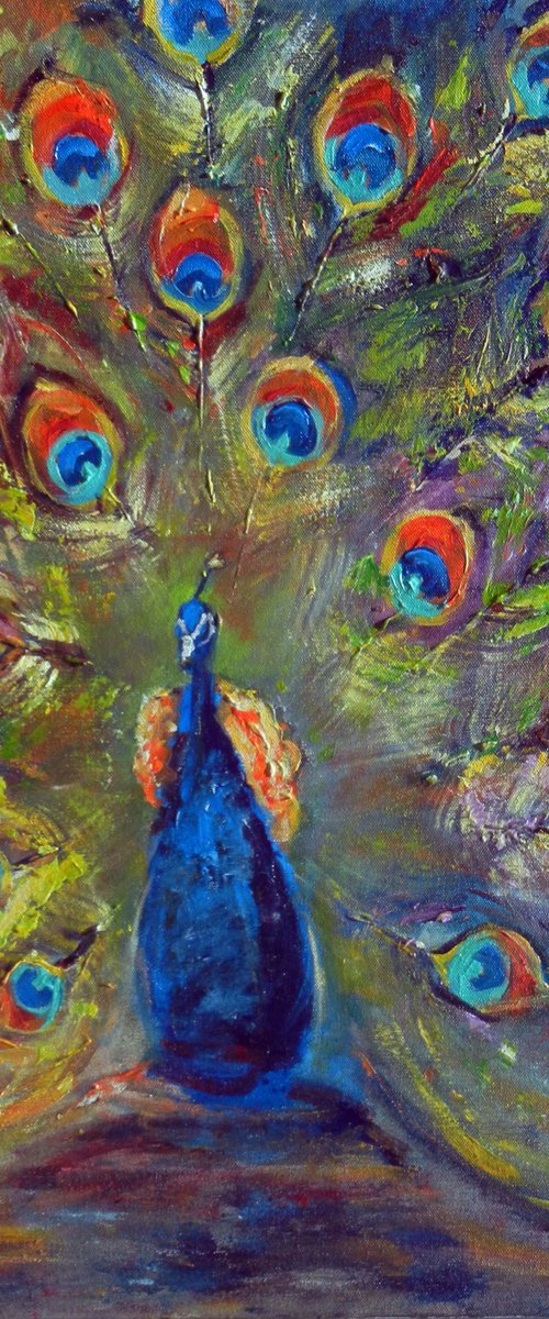 Peacock by BenWill