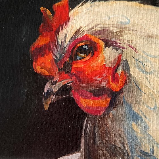 Chicken