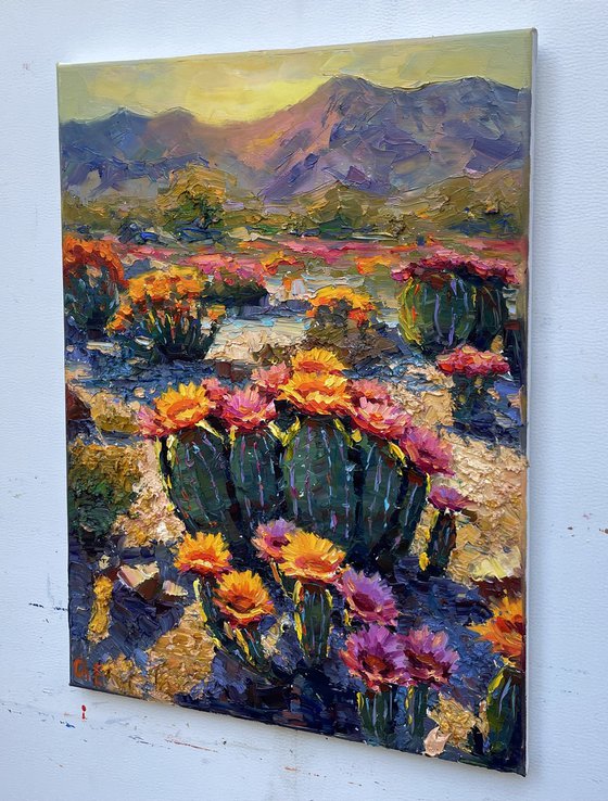 Arizona Canyon
