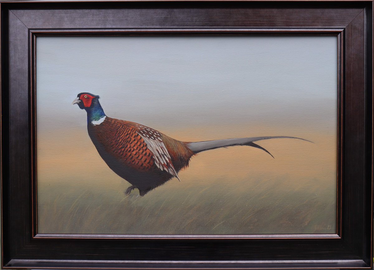 Pheasant in the Field by Alex Jabore