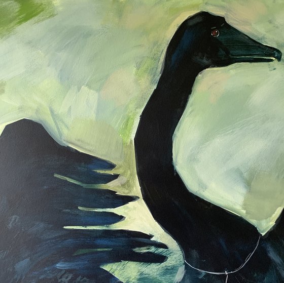 I will not come alone. Black swan. 110x110cm