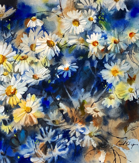 White Daisies