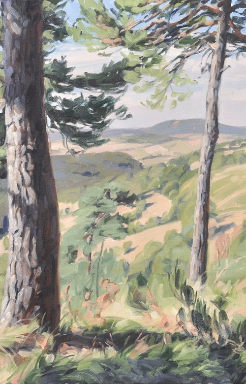 Mézenc, late summer by ANNE BAUDEQUIN