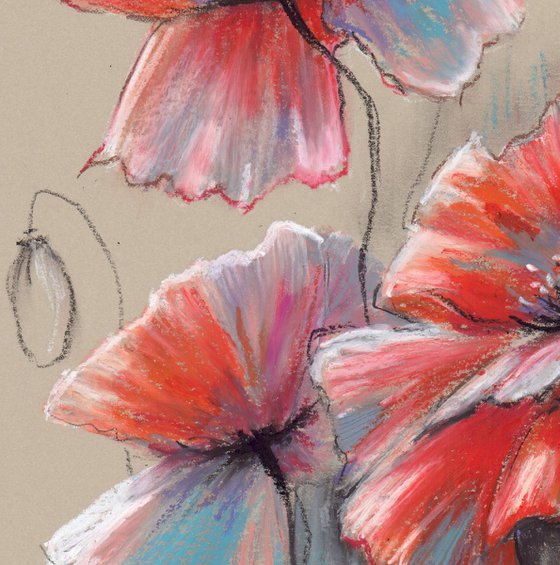 Dancing Poppies