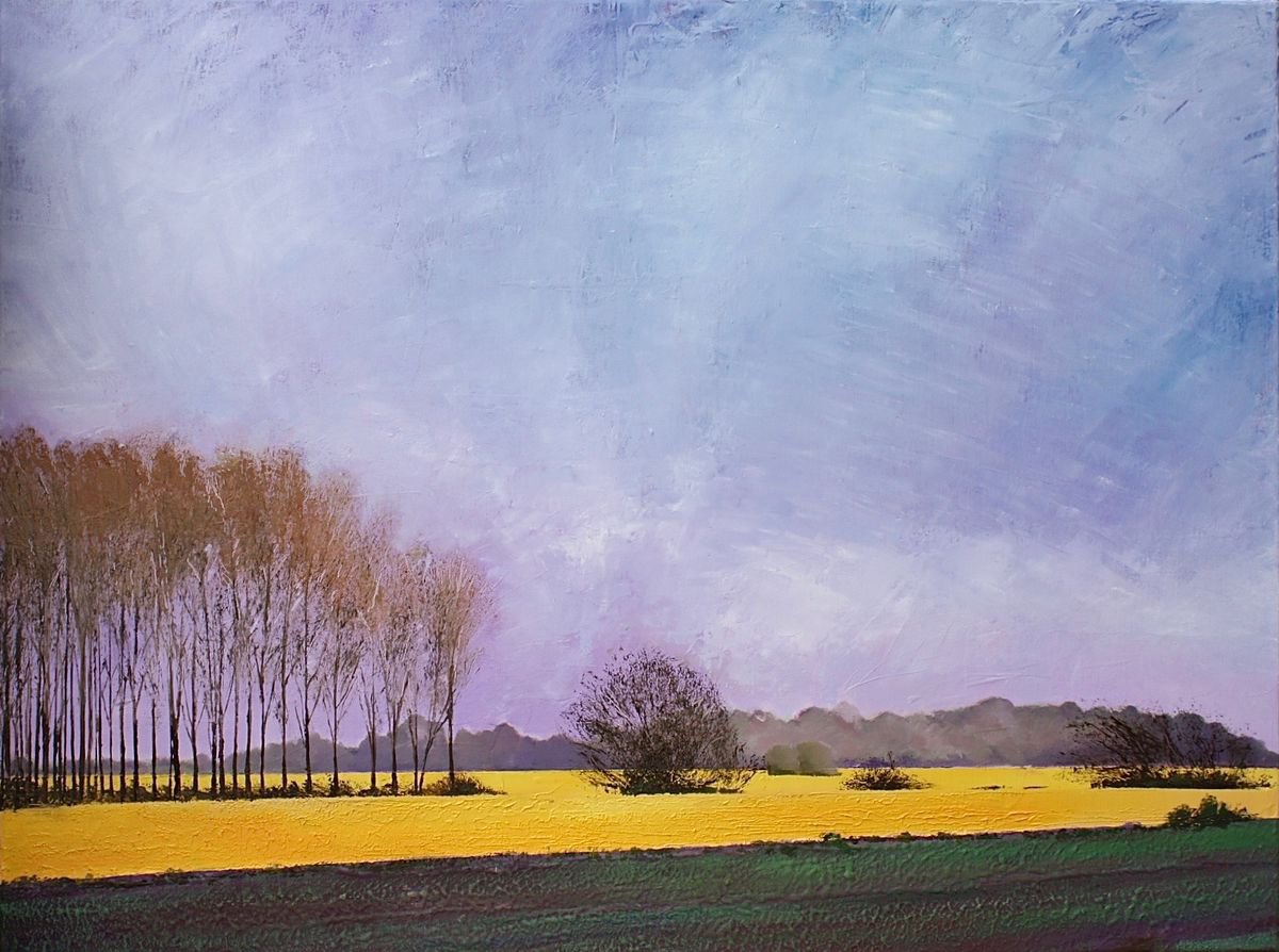 horizon line horizon line