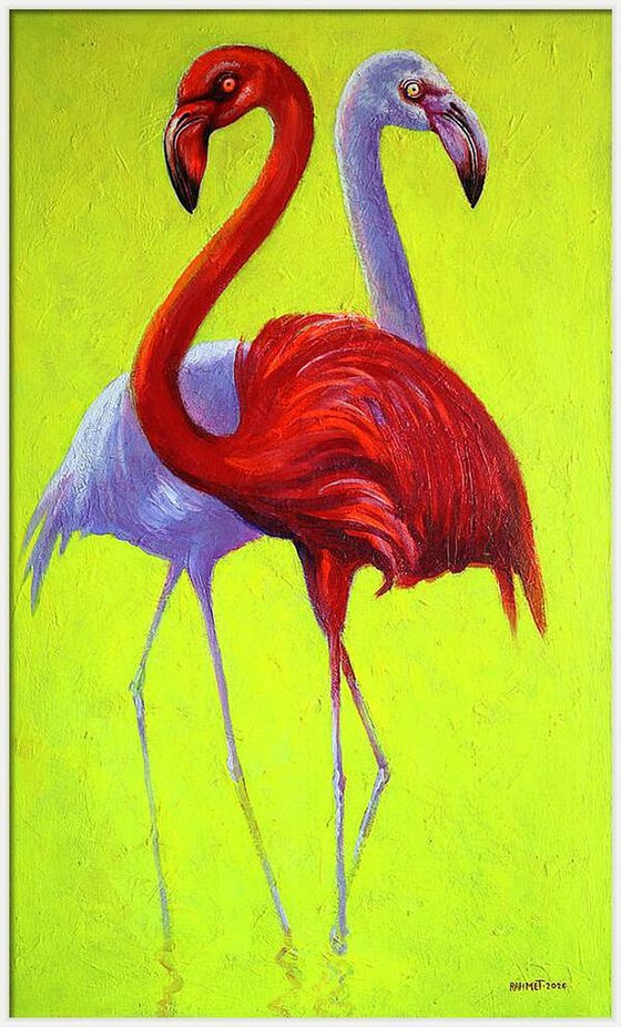 Flamingo 2