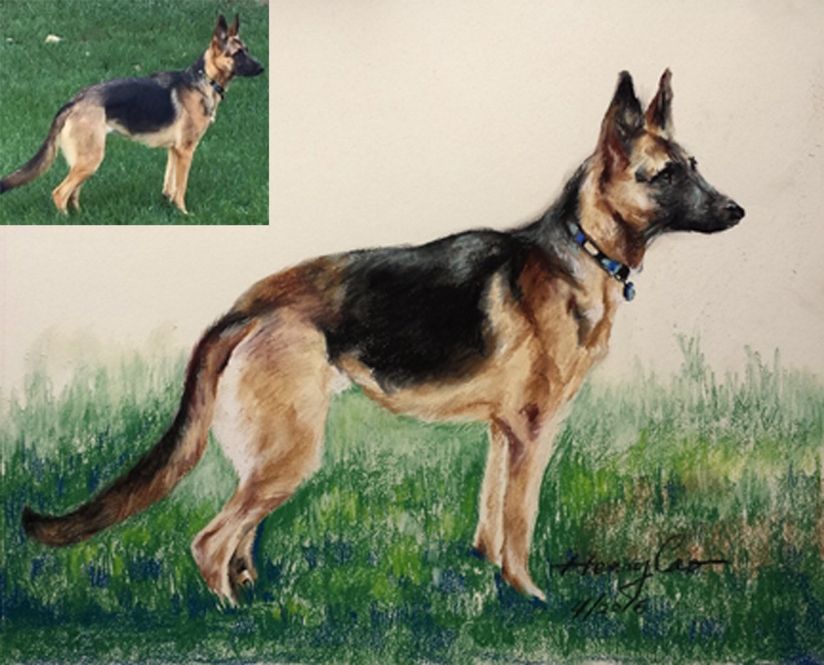 Photorealistic Animal Pastel Drawing By Henry Cao, 17 X 14, Customized Painting Dogs Photo, Original Artwork