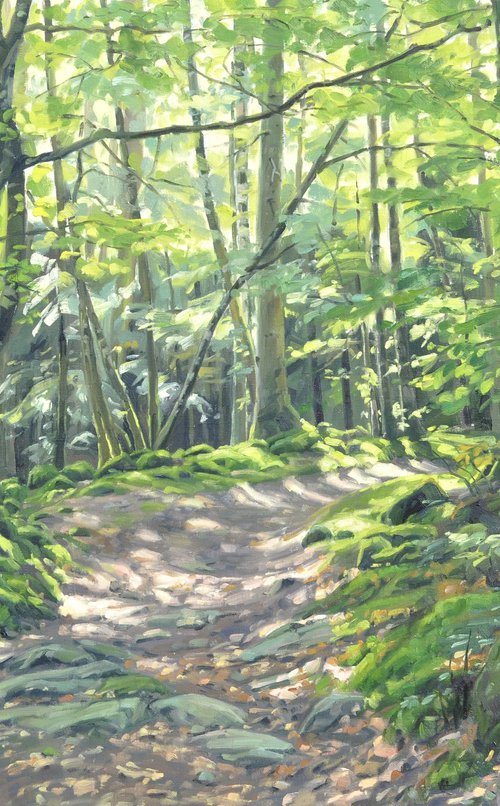 The clearing by ANNE BAUDEQUIN