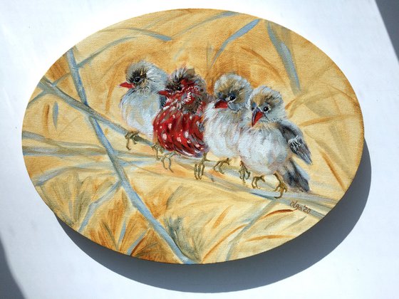 Bird oil painting - Small birds on the branches ellipse canvas - Christmas gift for bird lover