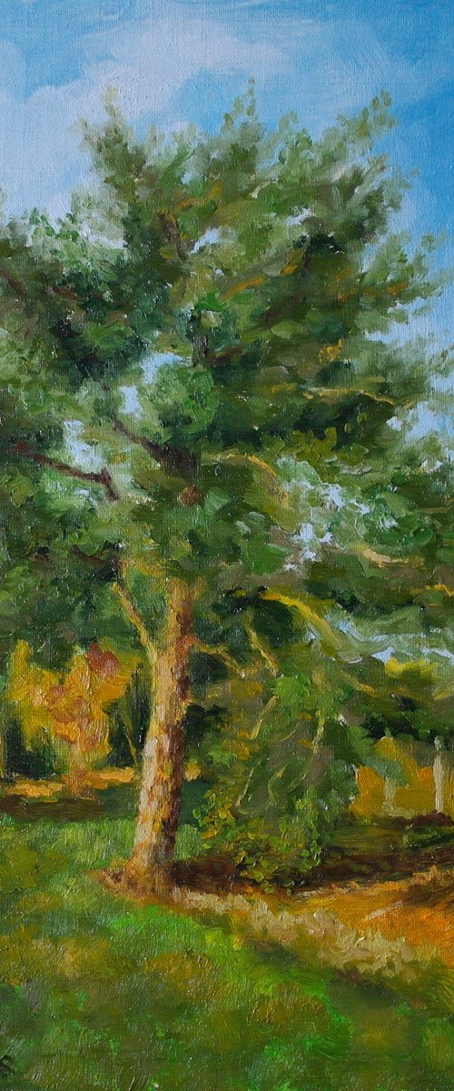 Sunny Day by Juri Semjonov