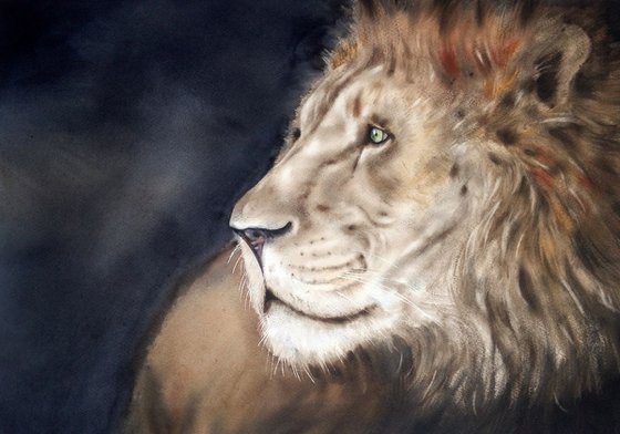 Wise Lion - Lion Portrait  - Africa Big Cat King Leo Wild Cat Leader Pride