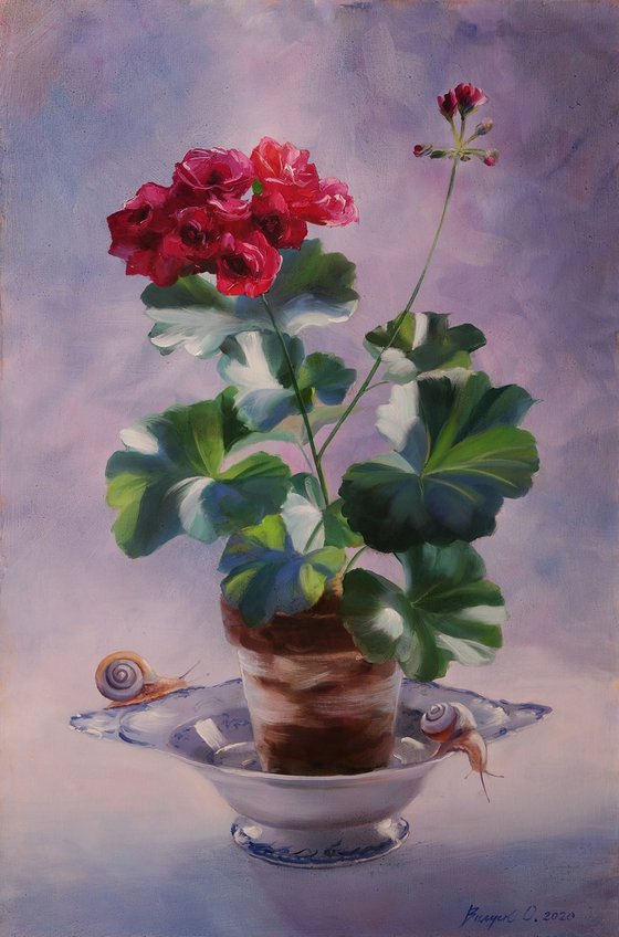 "Geraniums and snails"