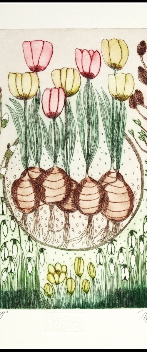 Spring by Mariann Johansen-Ellis