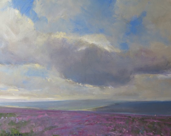 Goathland Heather