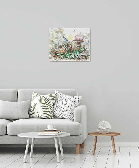 Paph. charlesworthii