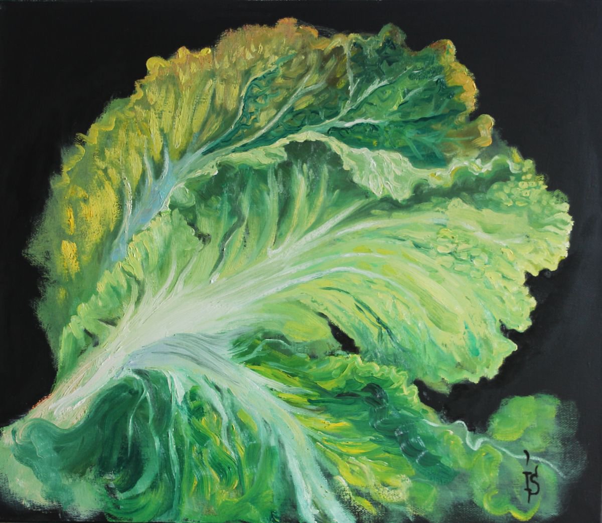 Cabbage by Irina Sergeyeva