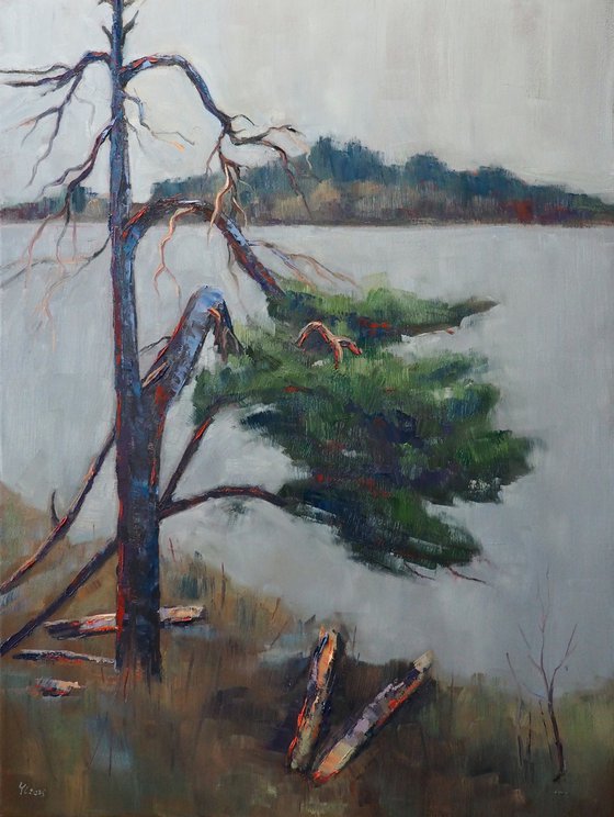 Spring landscape