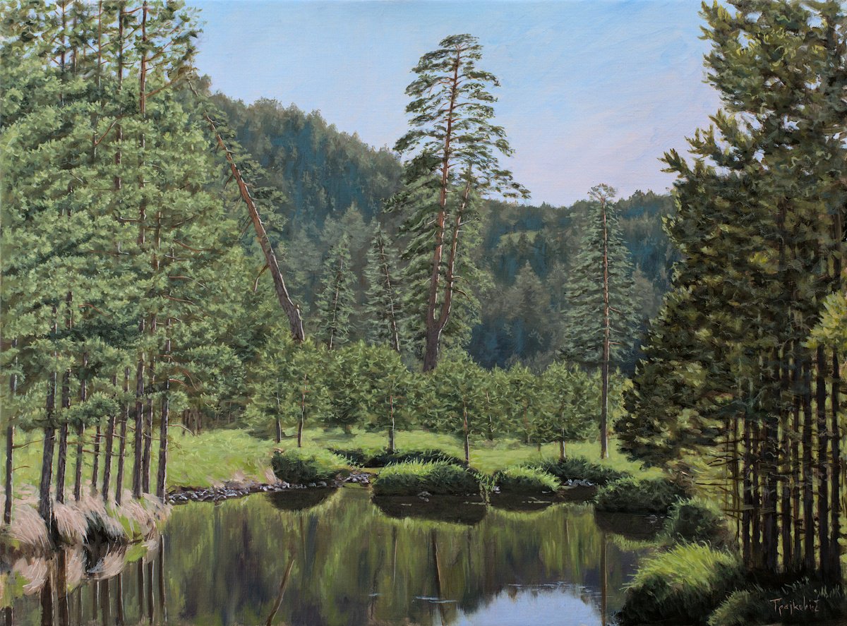Pond Between Pines by Dejan Trajkovic