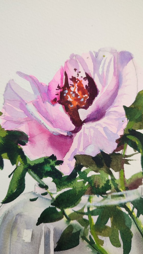 Pink Flower