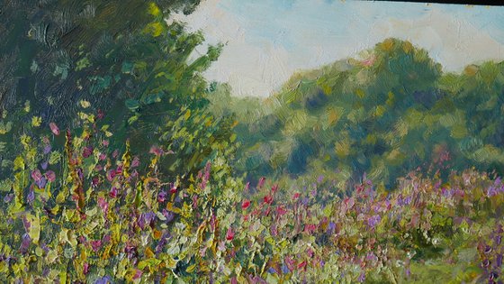 The Sunny Meadow