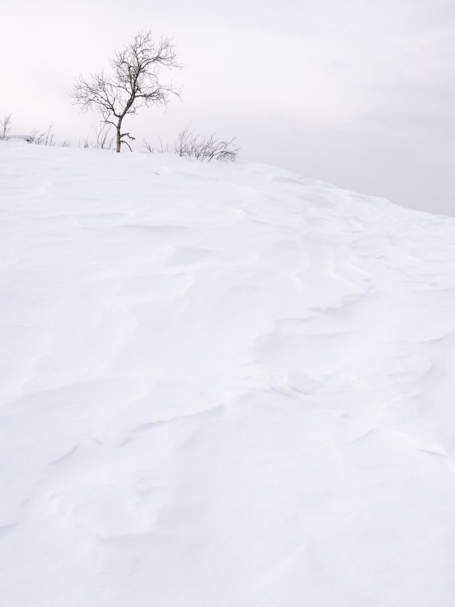 Impressionistic Landscape Photograph By Tom Hanslien, 60 X 80", Solitude, Original Artwork