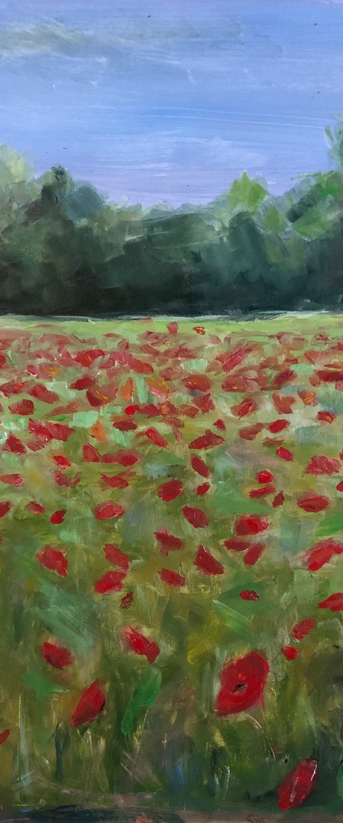 Poppy Field I by Roz Howling