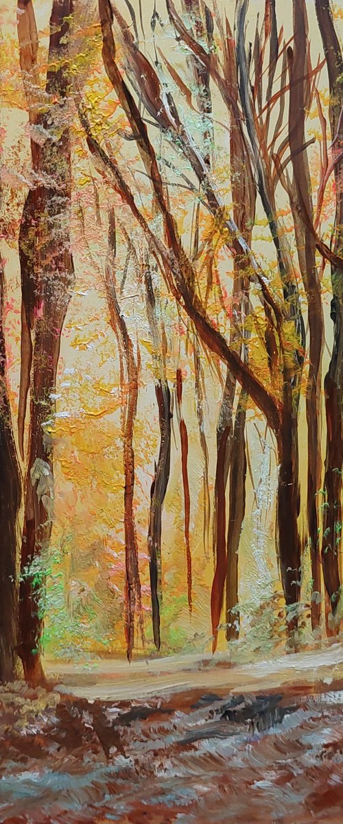 Autumn leaves by Els Driesen
