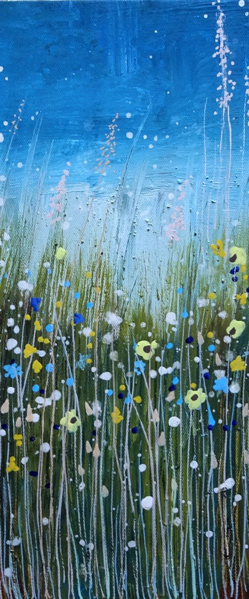 Wildflower Meadow  25 by Roz Edwards